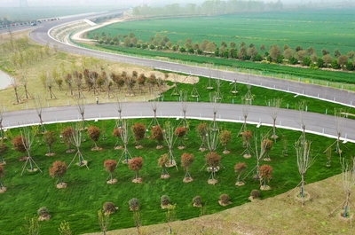 打造綠色環(huán)保標桿示范工程,鹽洛高速這樣做!